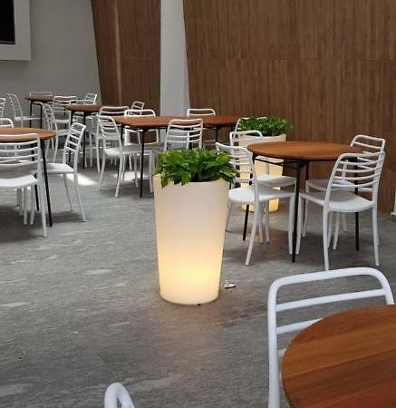 Quinto Elemento Hotel Mexico City Ngoại thất bức ảnh
